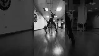 Exotic Pole Dance /choreo Daria Terra