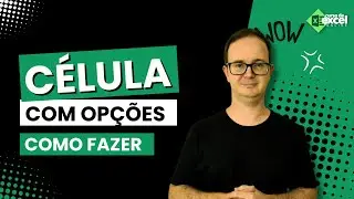 Como Fazer no Excel Células com Opções