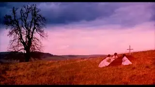 Asenssia, VSN7 - Серые Волки