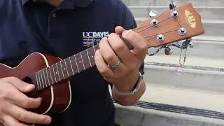 Steven Universe - Other Friends Ukulele Cover
