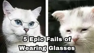 5 Epic Fails of Wearing Glasses | RnR English with Corporal Comer | EP 290
