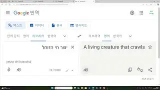 도전 히브리어 51번째 창세기 1장 30절 히브리어 영어