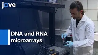 DNA and RNA microarrays - Preparation of Large Nucleic Acid Libraries | Protocol Preview