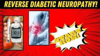 Reversing Diabetic Neuropathy - The Science Explained