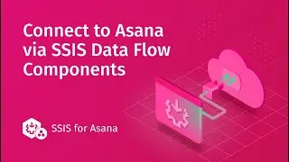 Integrate Asana using SSIS for ETL with databases or services