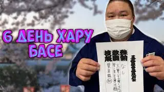 6 день Хару Басё высший дивизион макуути