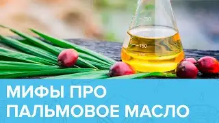 Что ВАЖНО ЗНАТЬ о ПАЛЬМОВОМ МАСЛЕ? | Доктор 24