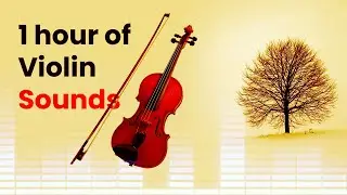 One Hour of Violin Sounds