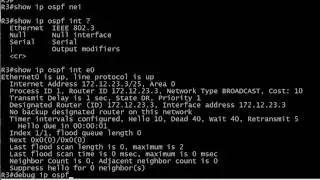 362 OSPF Adjacency Lab 1 Masks