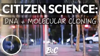Reinvent how you teach DNA Cloning | Citizen Science