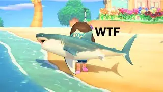 Best ANIMAL CROSSING New Horizons Clips #138