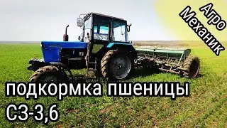 Подкормка озимой пшеницы сеялкой СЗ-3 6. Весеннее внесение удобрений