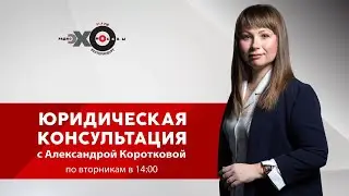 Юридическая консультация / Данил Винницкий // 17.11.20