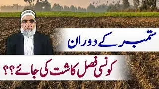 Which crop should be cultivated in September 2024 || Crop Reformer