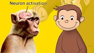 Curious George is surprisingly big brained