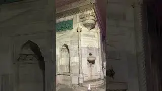 ÜSKÜDAR’DA MARTILAR