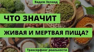 Вадим Зеланд - Взлом Техногенной Системы | Трансерфинг Реальности | Что Такое Белок?