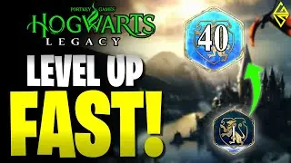 How to LEVEL UP FAST in Hogwarts Legacy | No Glitch | Reach Max Level Easy