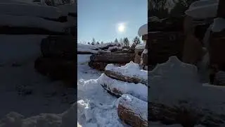 Отборный лес 