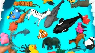 Learn animals for kids  learn wild zoo animals for kids learn wild zoo animal toys for kids #16