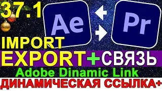 After Effects СВЯЗЬ + взаимодействие с Premiere Pro 🔵 Adobe Dynamic Link. Экспорт Импорт Урок 37.1