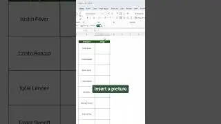 How to insert an image inside a cell. 🤯 #excel #tutorial