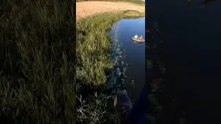 Зап. Березина и водохранилище. Полёт на мотопараплане.