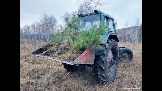Сажаю лес! Жизнь на природе!