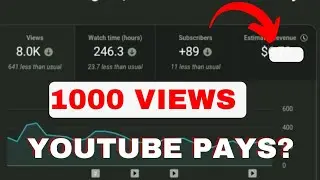 How Much YouTube PAYS Per 1000 Views | YouTube Monetization