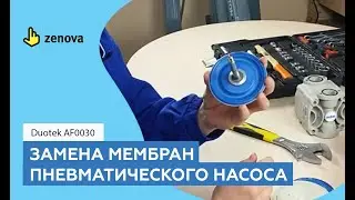 Разбор и замена мембран пневматического насоса Duotek AF0030