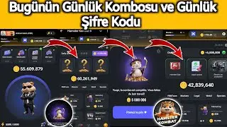 23-24 Ağustos Hamster Kombat Günlük Kombinasyonu ve Günlük Şifre Kodu Bugün 🔥