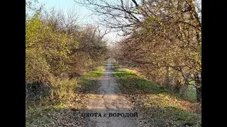 Времена года от Охота с Бородой.