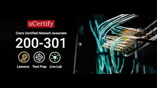 CCNA 200-301 Official Cert Guide