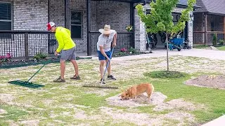 Flatten a BUMPY and UNEVEN Lawn - EASY