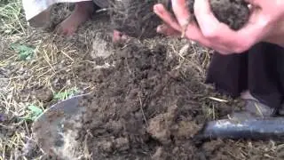 Wood Chip vs. Hay Mulch