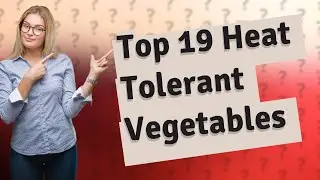 What Are the Top 19 Heat Tolerant Vegetables Ideal for Full Sun?