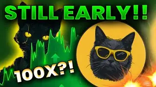 🔥 Catamoto Launching TOMORROW! Could This Be Your Ticket to 100X Gains? 💸 | Ultimate Crypto Guide!