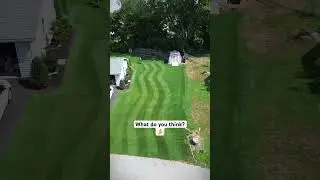 #mowing #before #after #drone #satisfying #oddlysatisfying #beach #waves #reelmower #pov #grass