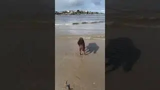Ozzys Sunday Paddle