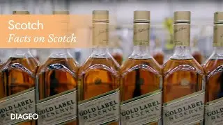 Explore Scotch Whisky and how it's made | Diageo