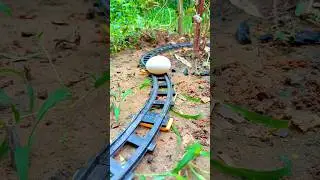 Train VS Eggs