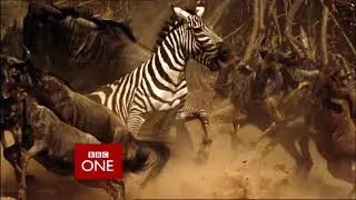 Planet Earth Trailer