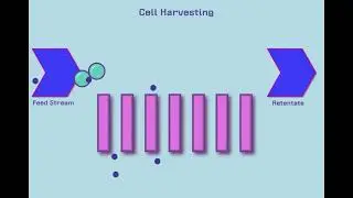 Introduction to Tangential Flow Filtration (TFF)