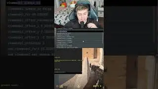 The Best Viewmodel in CS2 #cs2pro #cs2settings