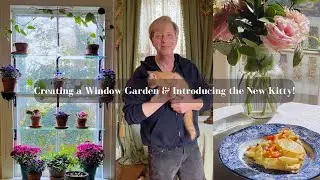 Creating a Window Garden & Introducing the New Kitten!