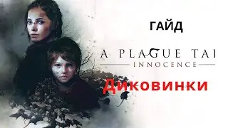 Все диковинки из игры A plague tale innocence [ГАЙД]