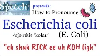 How to Pronounce Escherichia Coli (E. Coli full name)