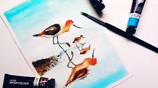 Sandpiper Bird painting | how to paint sandpiper with watercolours