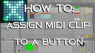 How to Assign a MIDI Light Effect to a Button (Launchpad Light Show Tutorial)