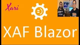 XAF Blazor - Custom Error Page